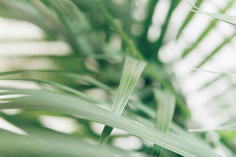 Microneedling (Dermapen): regeneración profunda de la piel